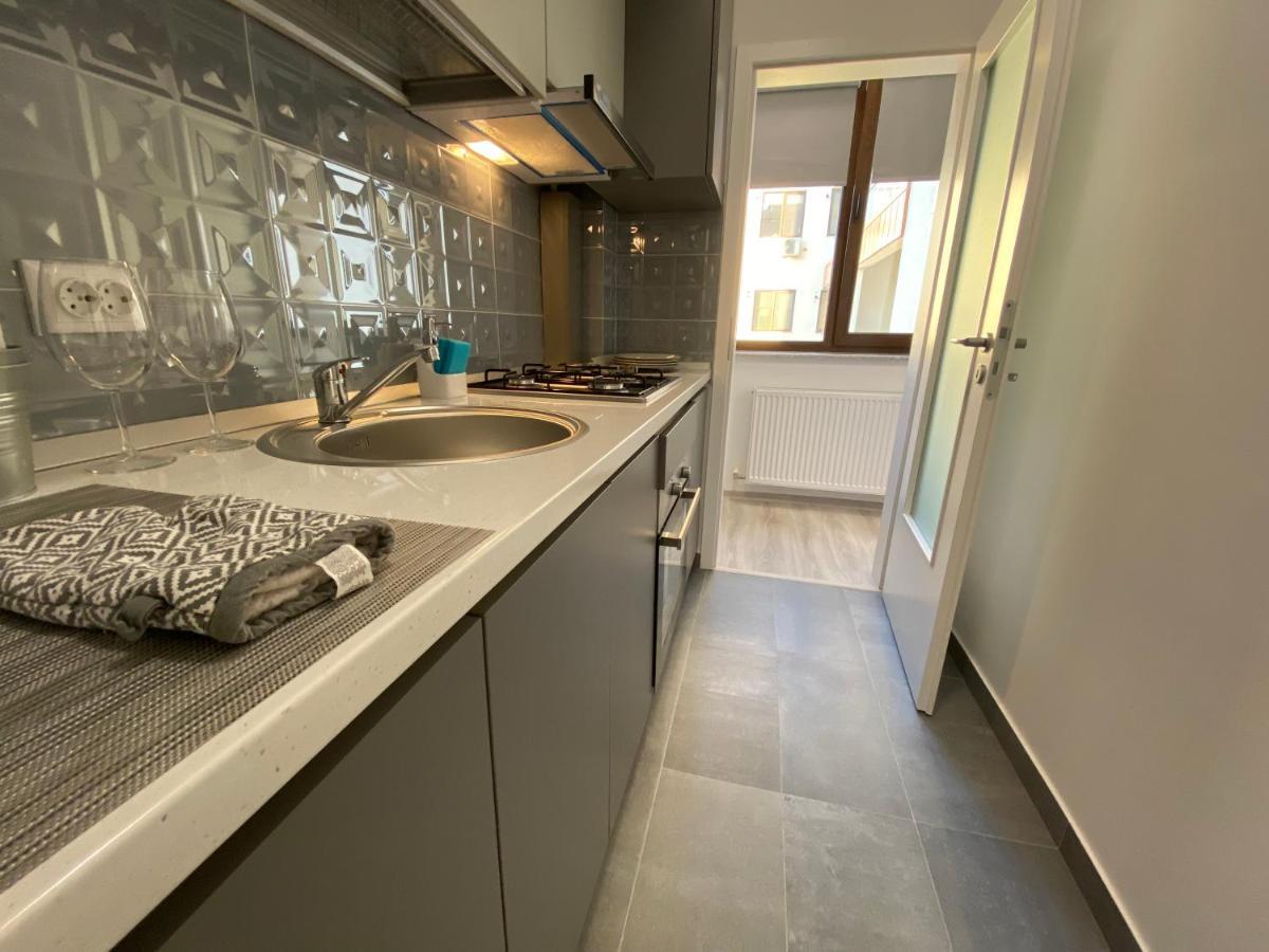 The Chic Minimalist - Apartment Iasi Exterior foto